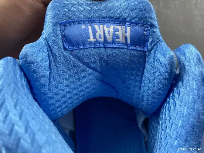 Rep 5 DV1310-401 Jordan UNC Air 0605